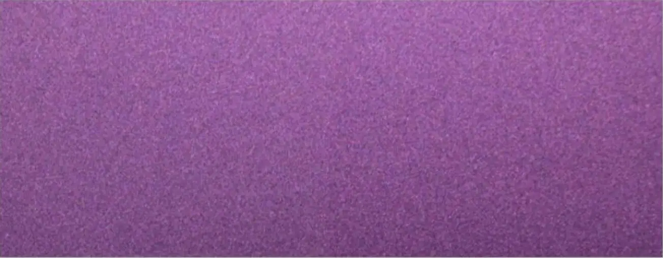 TA-PG50 紫变褐红 Purple - Brown Red 5-37μm-海蓝星颜料